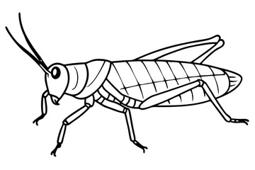 grasshopper line art silhouette vector illustration