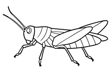grasshopper line art silhouette vector illustration