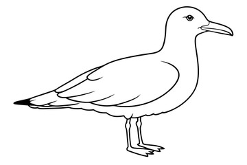 Obraz premium gull line art silhouette vector illustration