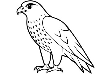 hawk line art silhouette vector illustration