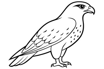 hawk line art silhouette vector illustration
