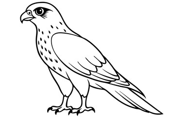 hawk line art silhouette vector illustration