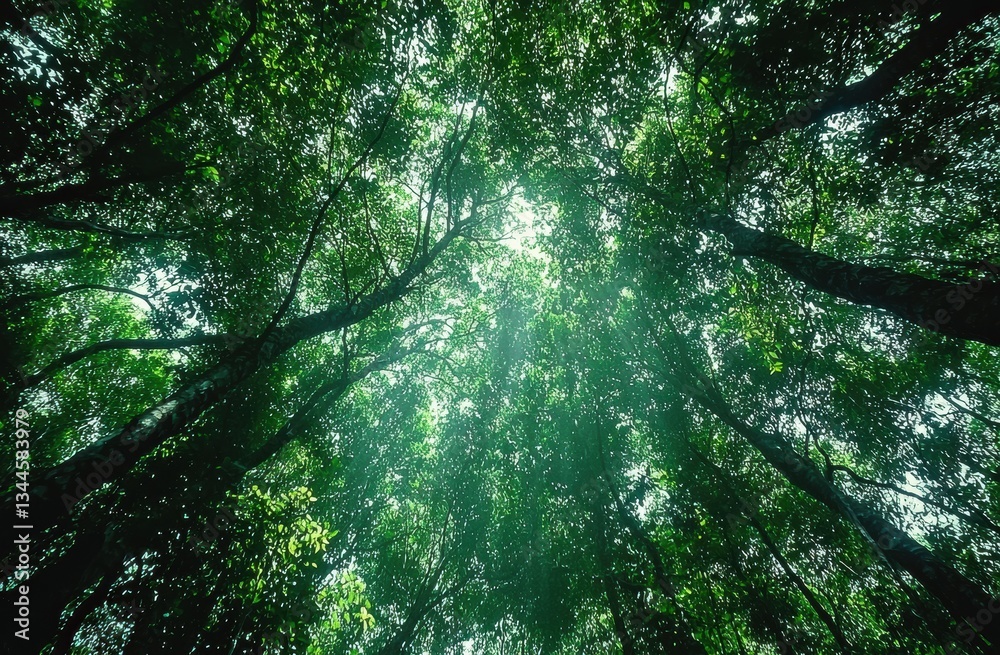 Poster soft sunlight penetrating verdant forest canopy, casting intricate light-shadow patterns across dens