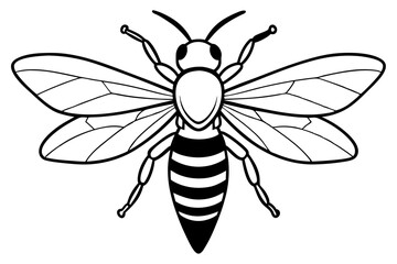 hornet line art silhouette vector illustration