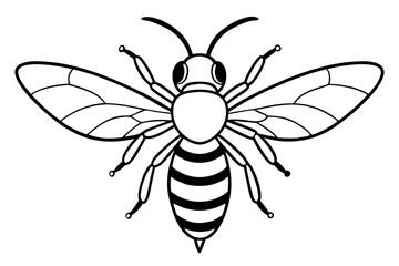 hornet line art silhouette vector illustration
