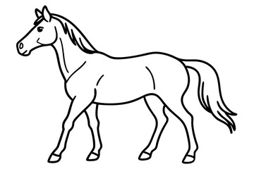 horse line art silhouette vector illustration