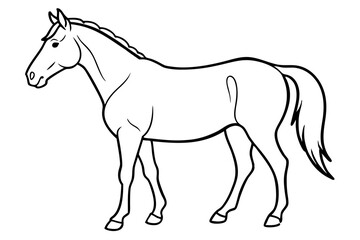horse line art silhouette vector illustration