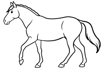 horse line art silhouette vector illustration