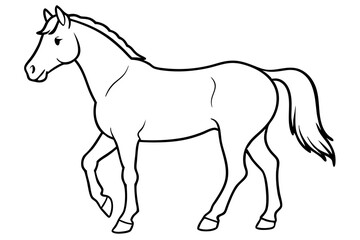 horse line art silhouette vector illustration