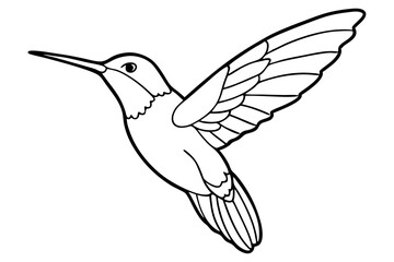 hummingbird line art silhouette vector illustration
