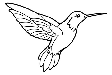 hummingbird line art silhouette vector illustration