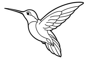 hummingbird line art silhouette vector illustration