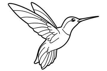 hummingbird line art silhouette vector illustration