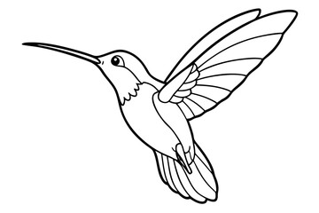 hummingbird line art silhouette vector illustration