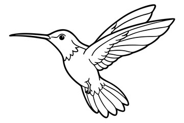hummingbird line art silhouette vector illustration
