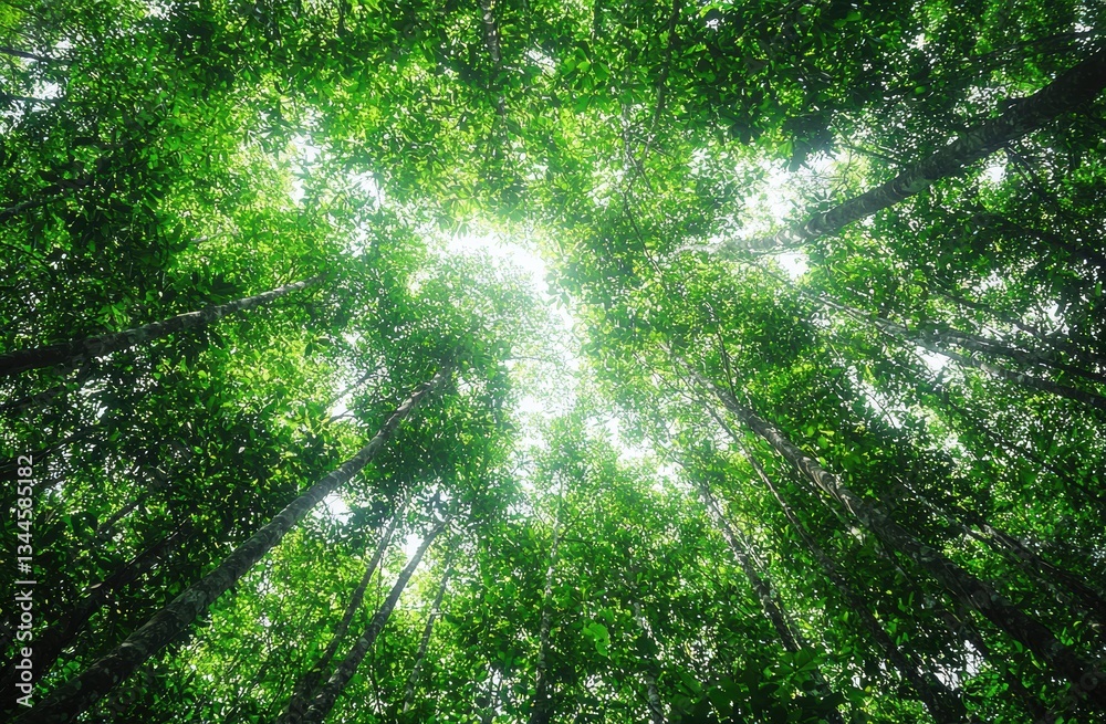 Poster sunlight filtering through dense green canopy, casting dappled shadows on forest ground
