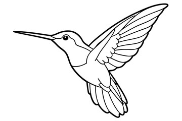 hummingbird line art silhouette vector illustration