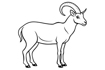 ibex line art silhouette vector illustration