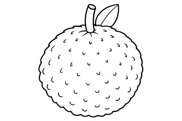 lychee line art silhouette vector illustration