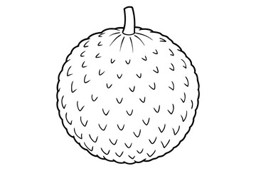 lychee line art silhouette vector illustration