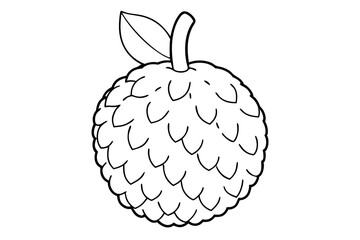 lychee line art silhouette vector illustration