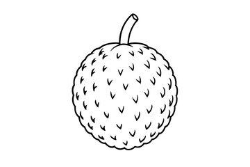 lychee line art silhouette vector illustration