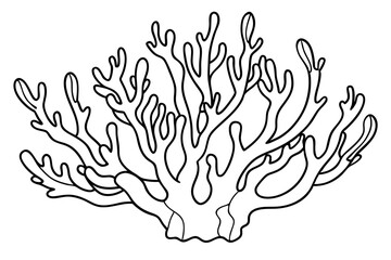 coral line art silhouette vector illustration