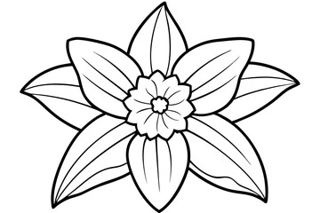 Fototapeta premium daffodil line art silhouette vector illustration