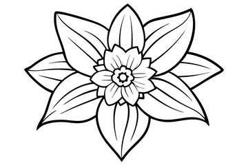 daffodil line art silhouette vector illustration