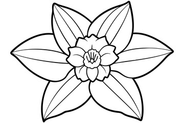 daffodil line art silhouette vector illustration