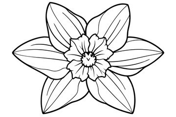 daffodil line art silhouette vector illustration