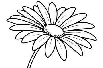 daisy line art silhouette vector illustration