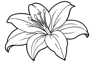 lily line art silhouette vector illustration