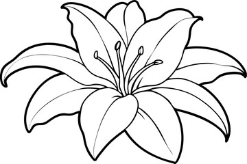 lily line art silhouette vector illustration
