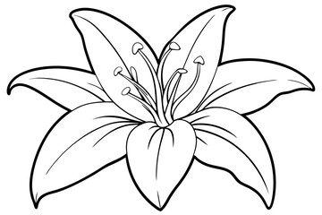 lily line art silhouette vector illustration