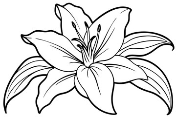 lily line art silhouette vector illustration