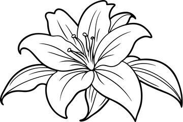lily line art silhouette vector illustration