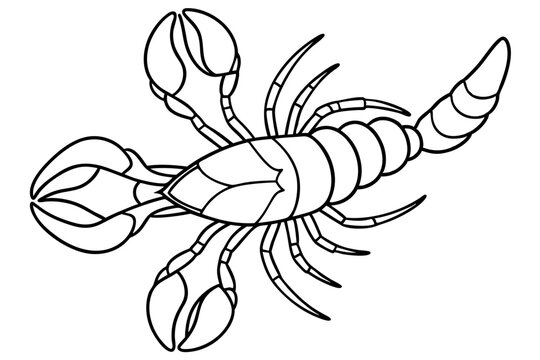 black and white lobster outline clip art preview
