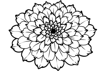 marigold line art silhouette vector illustration