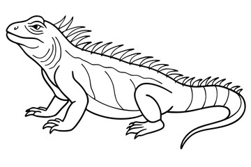 marine iguana line art silhouette vector illustration