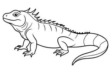 marine iguana line art silhouette vector illustration