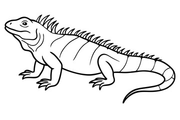marine iguana line art silhouette vector illustration