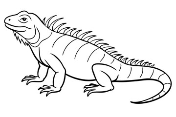 Obraz premium marine iguana line art silhouette vector illustration