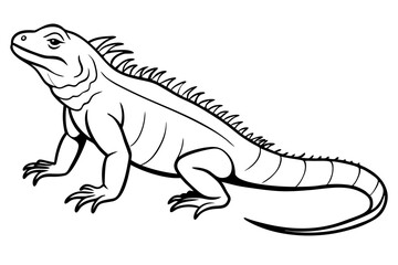 marine iguana line art silhouette vector illustration