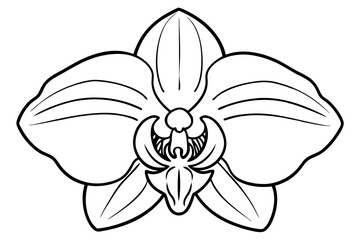 orchid line art silhouette vector illustration