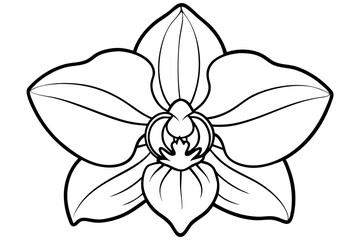 orchid line art silhouette vector illustration