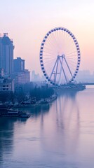 ferris wheel in the city