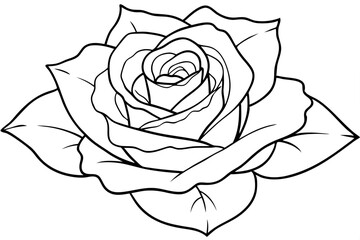 rose line art silhouette vector illustration