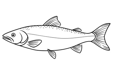 salmon line art silhouette vector illustration