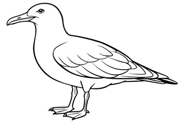seagull line art silhouette vector illustration